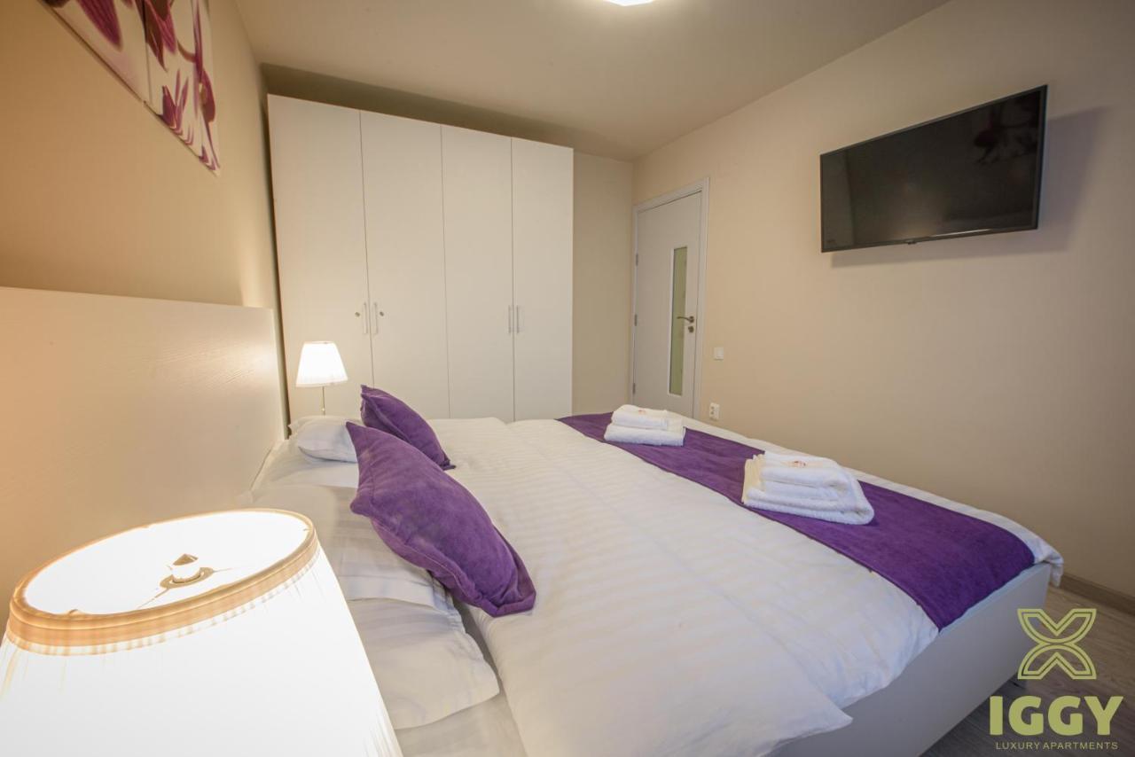 Iggy Luxury Apartment Hunedoara Dış mekan fotoğraf