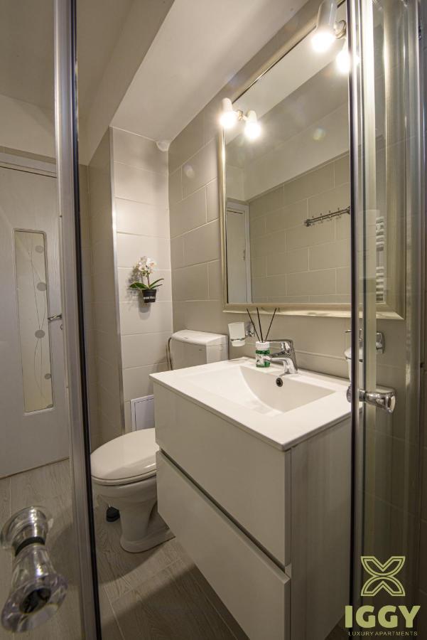 Iggy Luxury Apartment Hunedoara Dış mekan fotoğraf