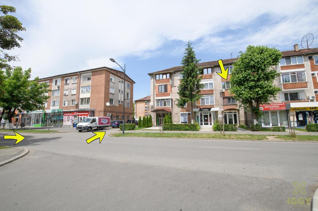 Iggy Luxury Apartment Hunedoara Dış mekan fotoğraf